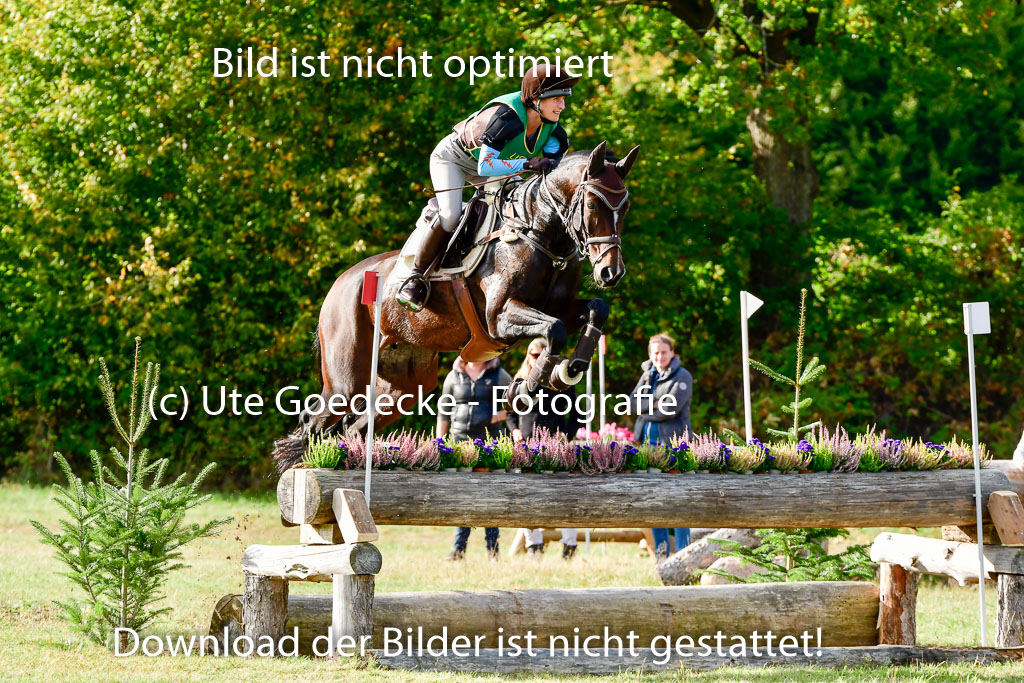 Bad Segeberg 09.10.2022 | 09102022 - XC CCI++ _137