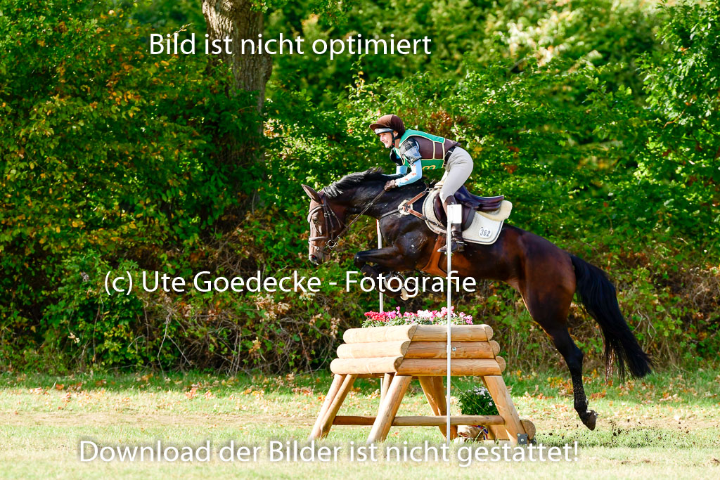 Bad Segeberg 09.10.2022 | 09102022 - XC CCI++ _138