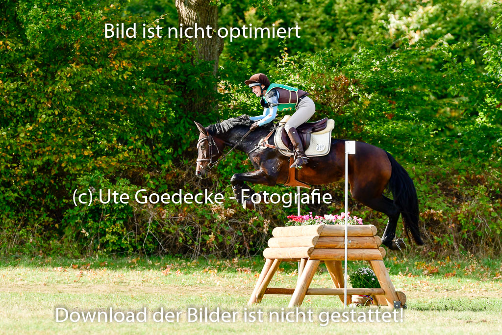 Bad Segeberg 09.10.2022 | 09102022 - XC CCI++ _139
