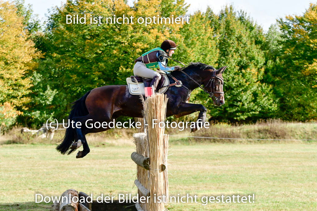 Bad Segeberg 09.10.2022 | 09102022 - XC CCI++ _143