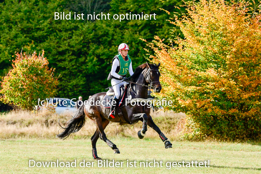 Bad Segeberg 09.10.2022 | 09102022 - XC CCI++ _145