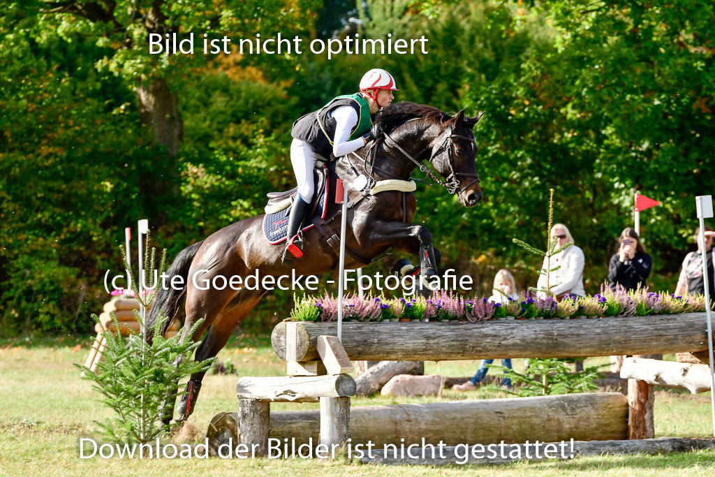 Bad Segeberg 09.10.2022 | 09102022 - XC CCI++ _147
