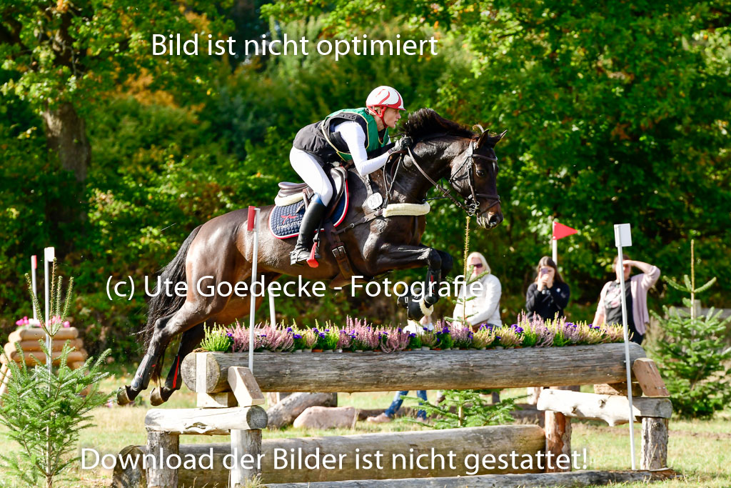 Bad Segeberg 09.10.2022 | 09102022 - XC CCI++ _148