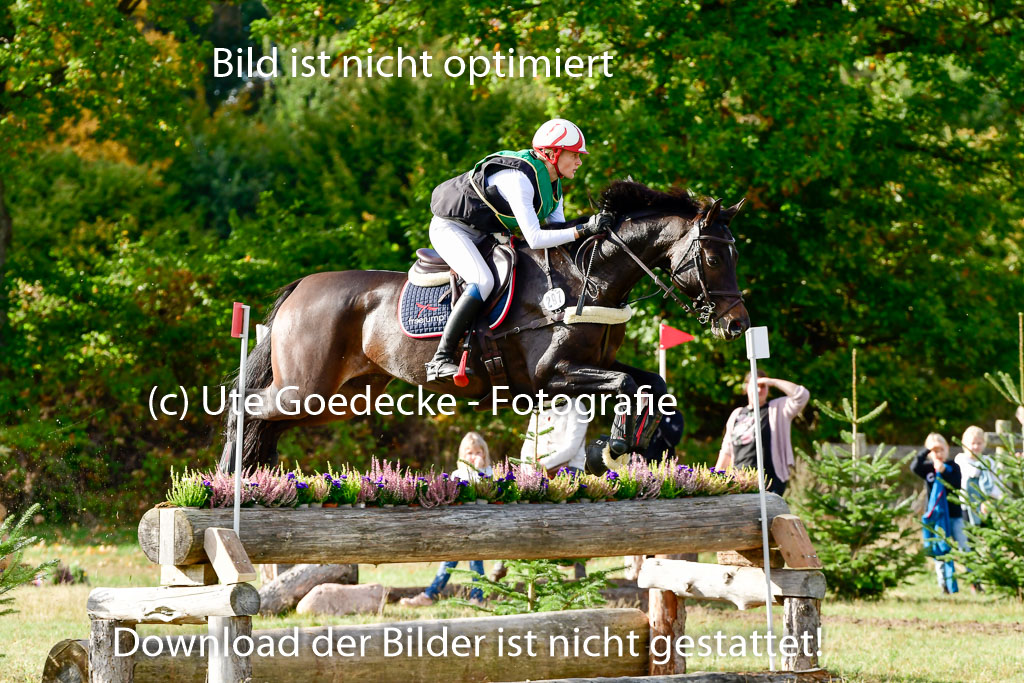 Bad Segeberg 09.10.2022 | 09102022 - XC CCI++ _149