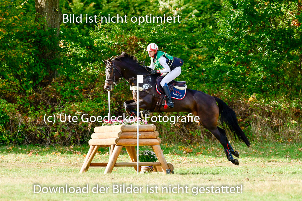 Bad Segeberg 09.10.2022 | 09102022 - XC CCI++ _150