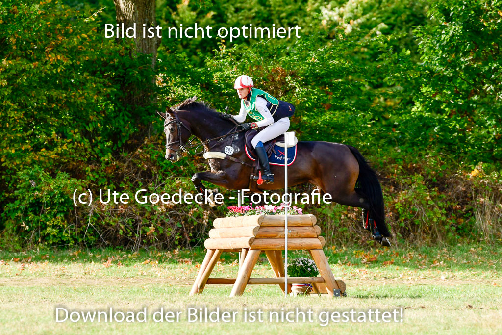 Bad Segeberg 09.10.2022 | 09102022 - XC CCI++ _151