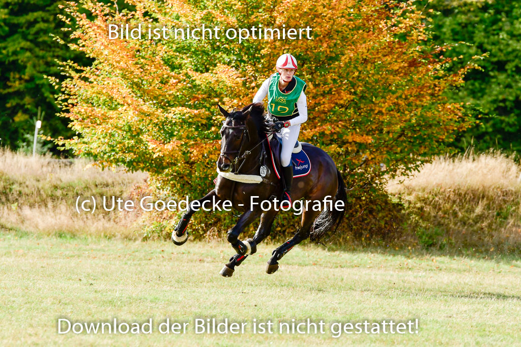Bad Segeberg 09.10.2022 | 09102022 - XC CCI++ _152