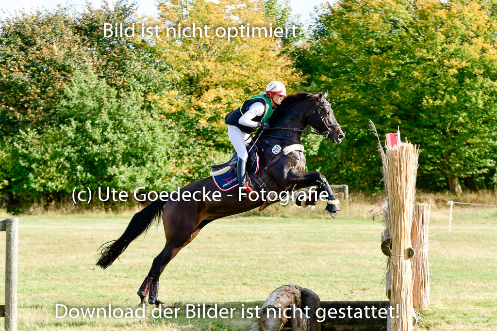 Bad Segeberg 09.10.2022 | 09102022 - XC CCI++ _153