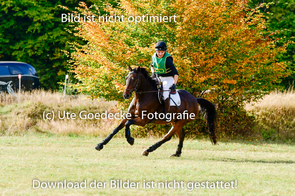 Bad Segeberg 09.10.2022 | 09102022 - XC CCI++ _162
