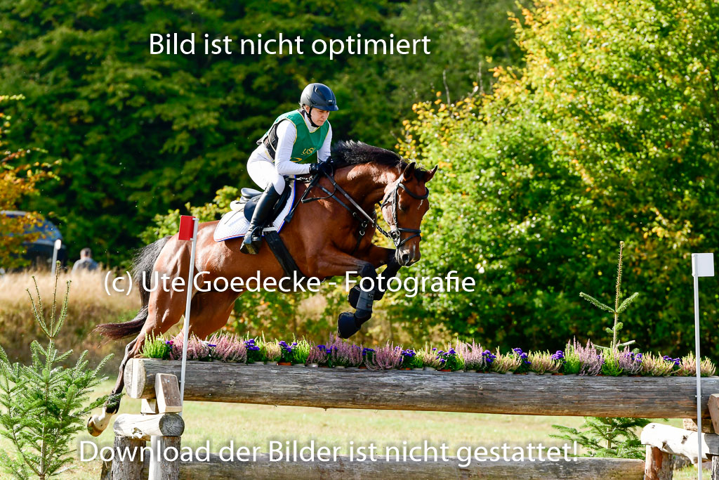 Bad Segeberg 09.10.2022 | 09102022 - XC CCI++ _165