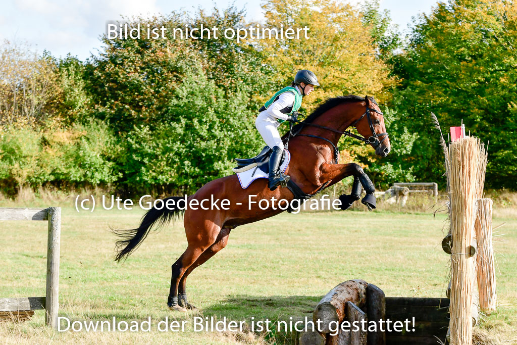 Bad Segeberg 09.10.2022 | 09102022 - XC CCI++ _167