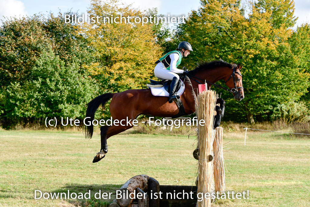 Bad Segeberg 09.10.2022 | 09102022 - XC CCI++ _169