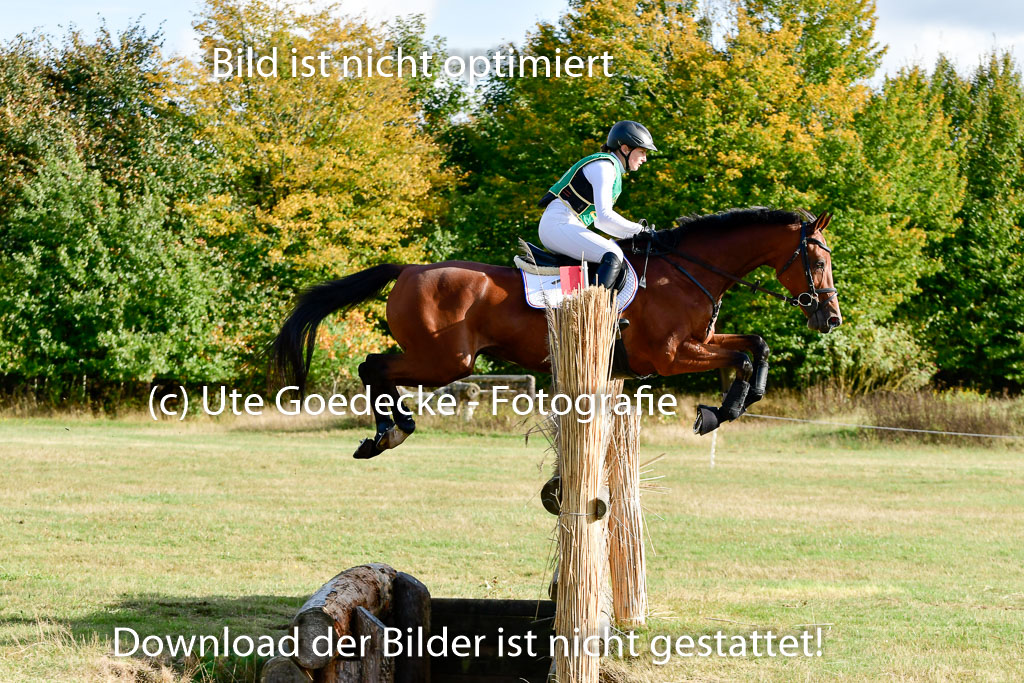 Bad Segeberg 09.10.2022 | 09102022 - XC CCI++ _170
