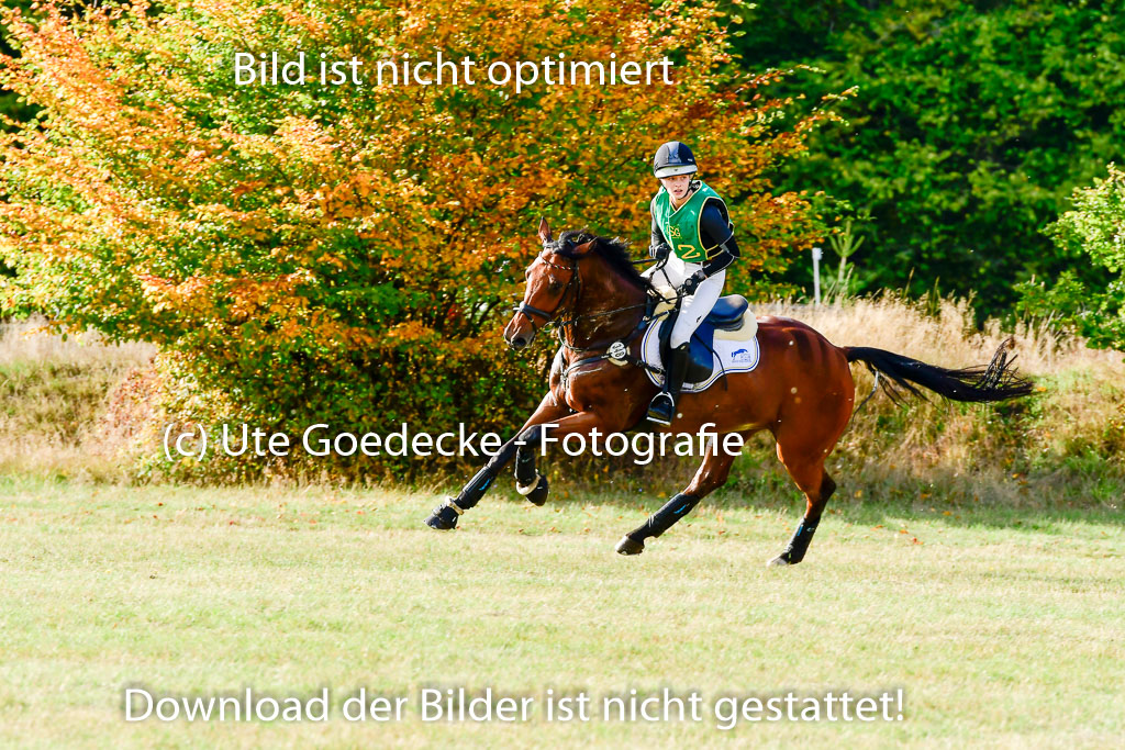 Bad Segeberg 09.10.2022 | 09102022 - XC CCI++ _174