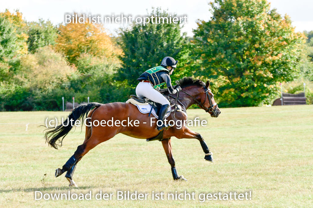 Bad Segeberg 09.10.2022 | 09102022 - XC CCI++ _177