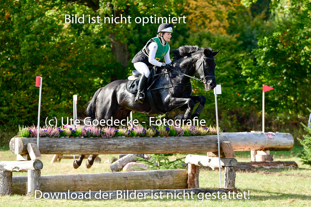 Bad Segeberg 09.10.2022 | 09102022 - XC CCI++ _179