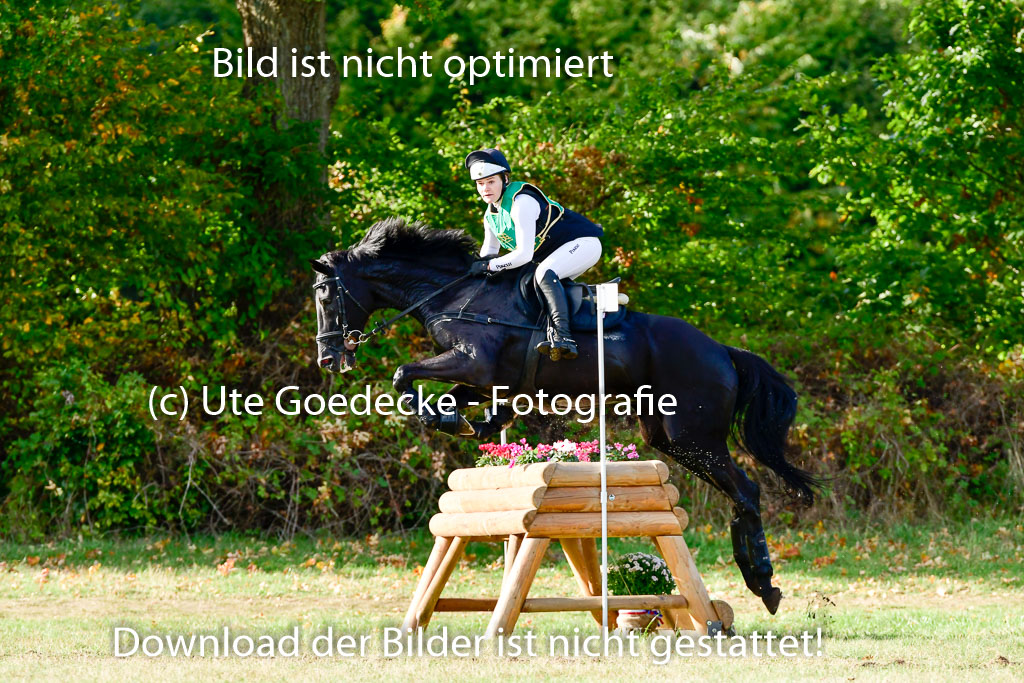 Bad Segeberg 09.10.2022 | 09102022 - XC CCI++ _180