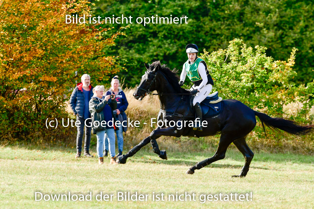 Bad Segeberg 09.10.2022 | 09102022 - XC CCI++ _181
