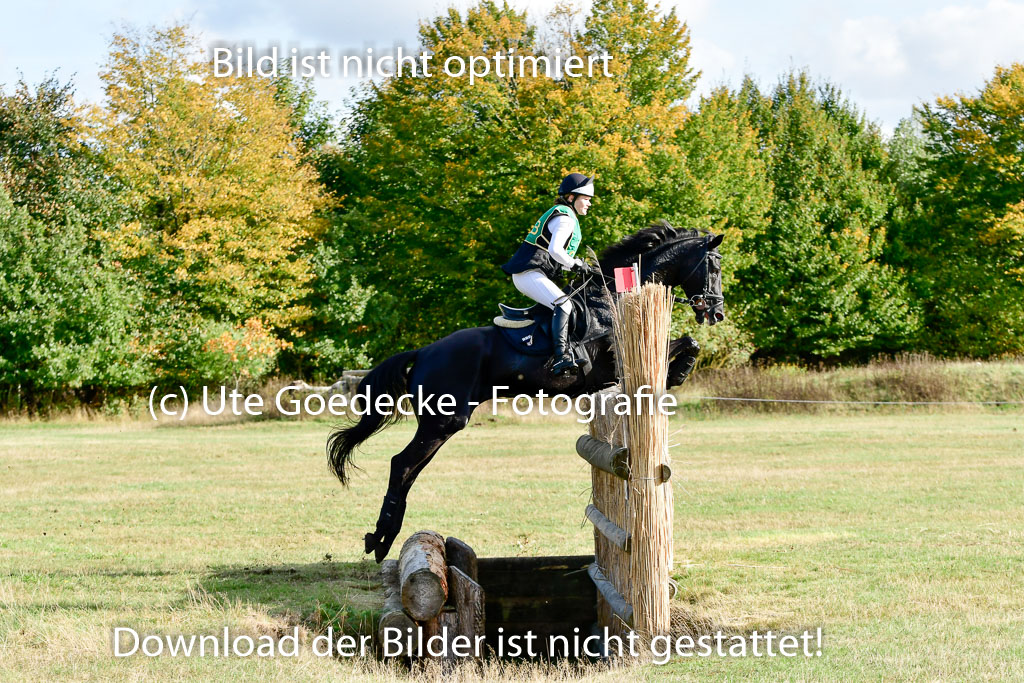 Bad Segeberg 09.10.2022 | 09102022 - XC CCI++ _185