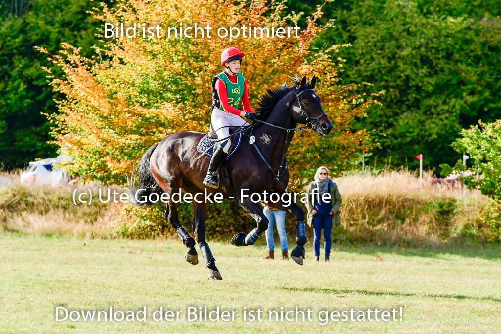Bad Segeberg 09.10.2022 | 09102022 - XC CCI++ _187