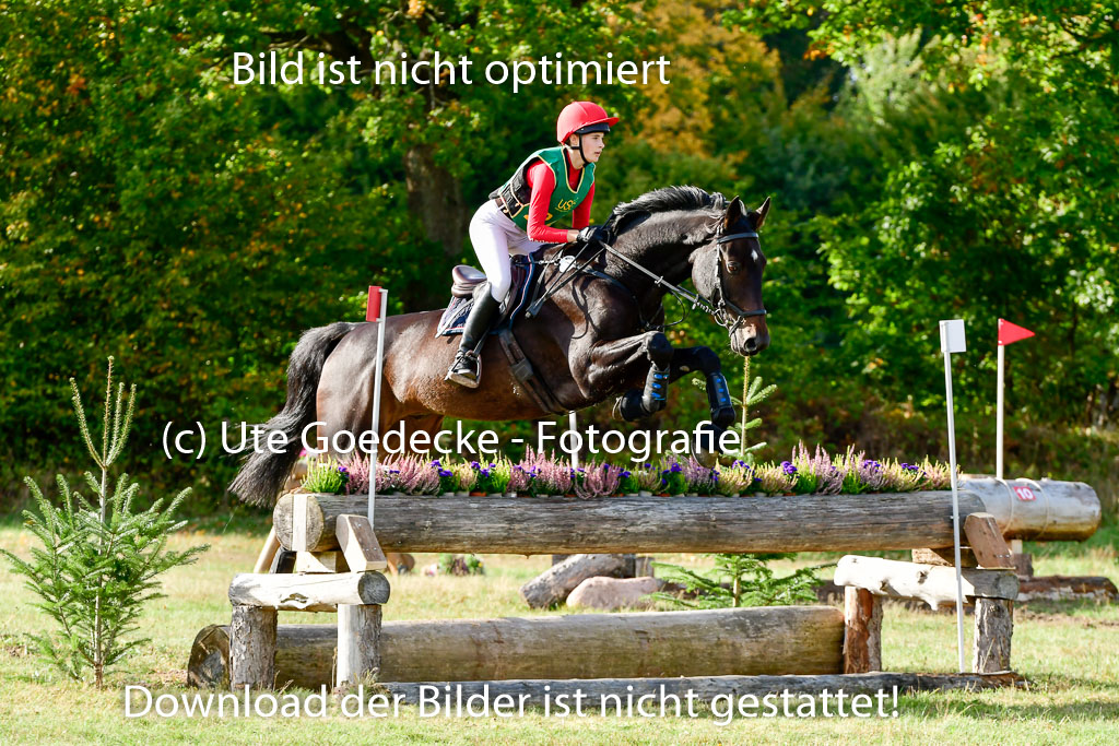 Bad Segeberg 09.10.2022 | 09102022 - XC CCI++ _189