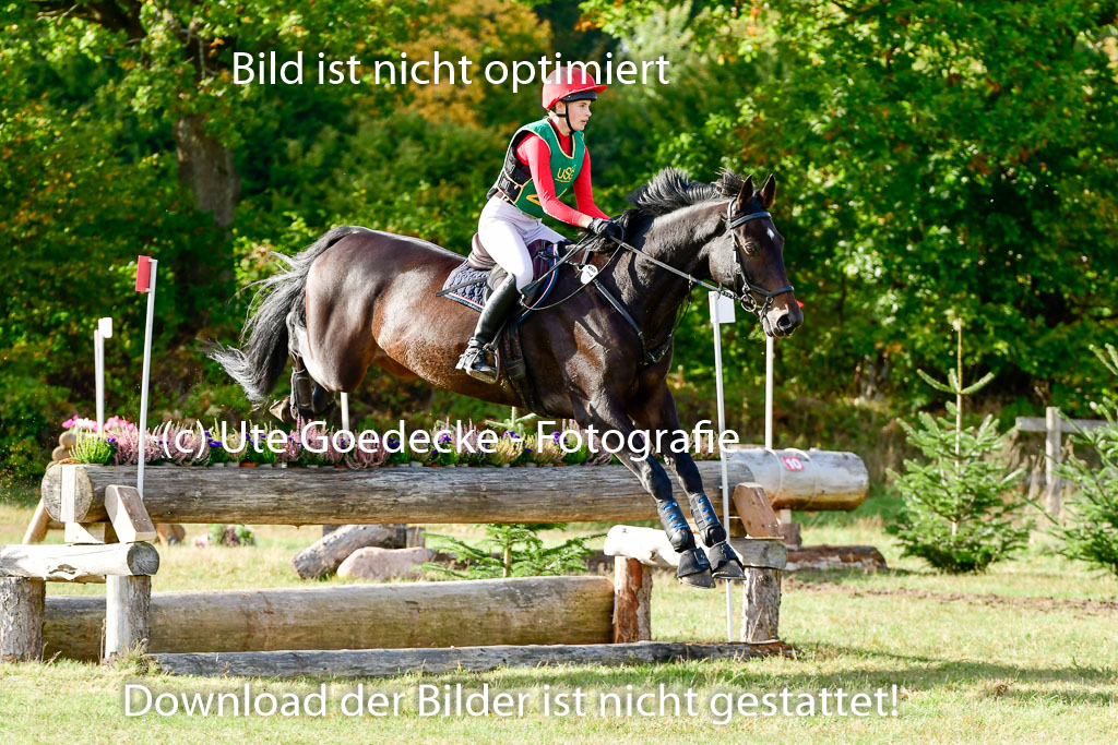 Bad Segeberg 09.10.2022 | 09102022 - XC CCI++ _190
