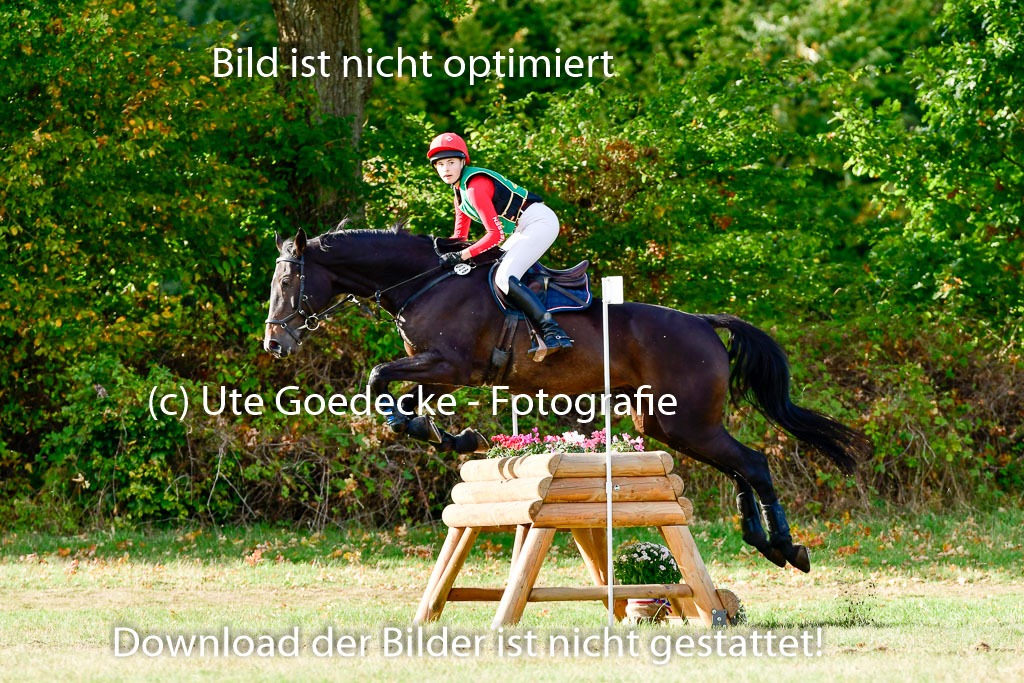 Bad Segeberg 09.10.2022 | 09102022 - XC CCI++ _191