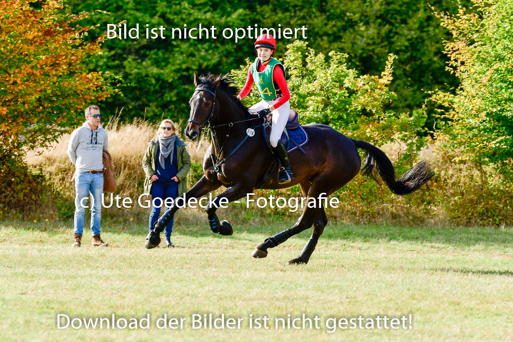 Bad Segeberg 09.10.2022 | 09102022 - XC CCI++ _192