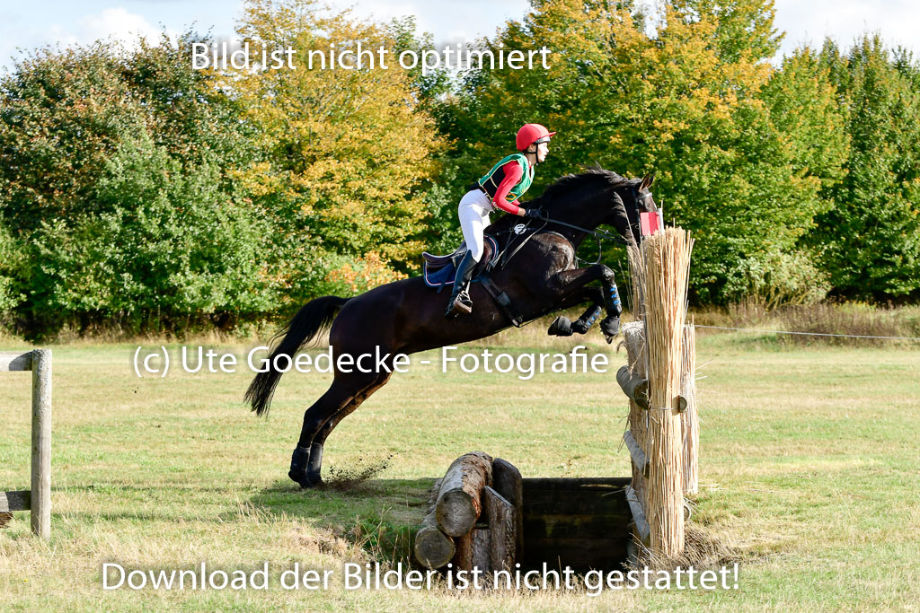 Bad Segeberg 09.10.2022 | 09102022 - XC CCI++ _194