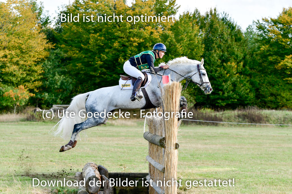 Bad Segeberg 09.10.2022 | 09102022 - XC CCI++ _204