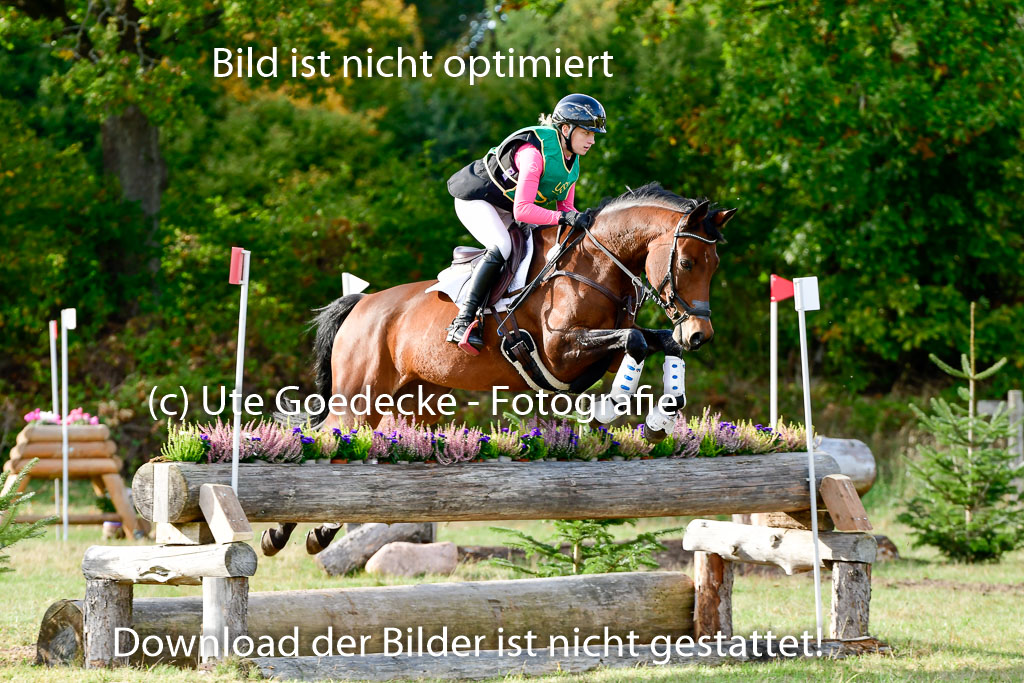 Bad Segeberg 09.10.2022 | 09102022 - XC CCI++ _207