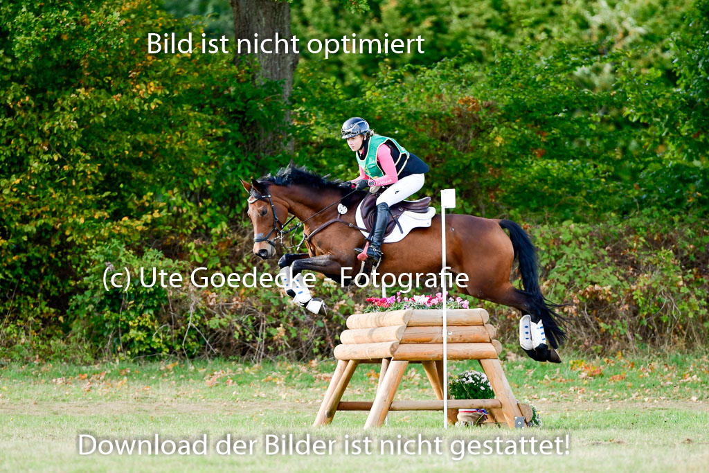 Bad Segeberg 09.10.2022 | 09102022 - XC CCI++ _208