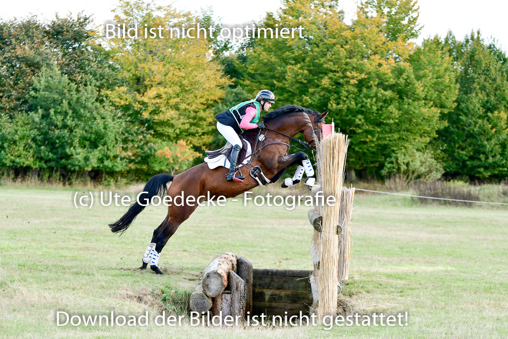 Bad Segeberg 09.10.2022 | 09102022 - XC CCI++ _209