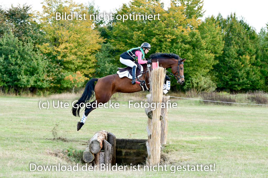 Bad Segeberg 09.10.2022 | 09102022 - XC CCI++ _210