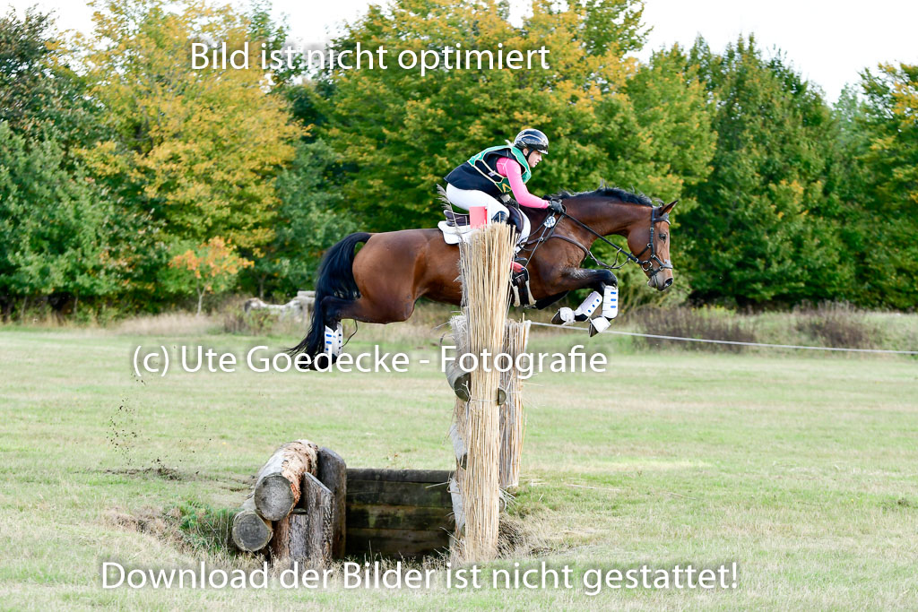 Bad Segeberg 09.10.2022 | 09102022 - XC CCI++ _211