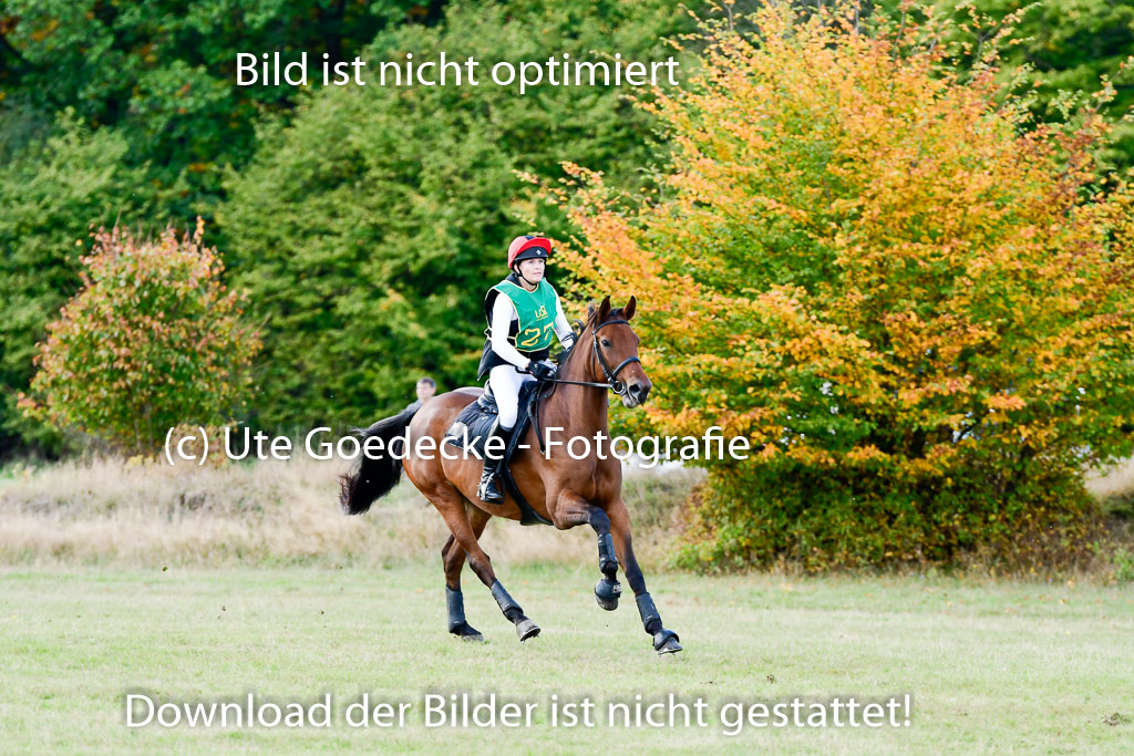 Bad Segeberg 09.10.2022 | 09102022 - XC CCI++ _212