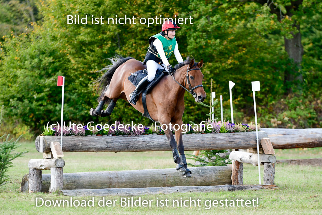 Bad Segeberg 09.10.2022 | 09102022 - XC CCI++ _215