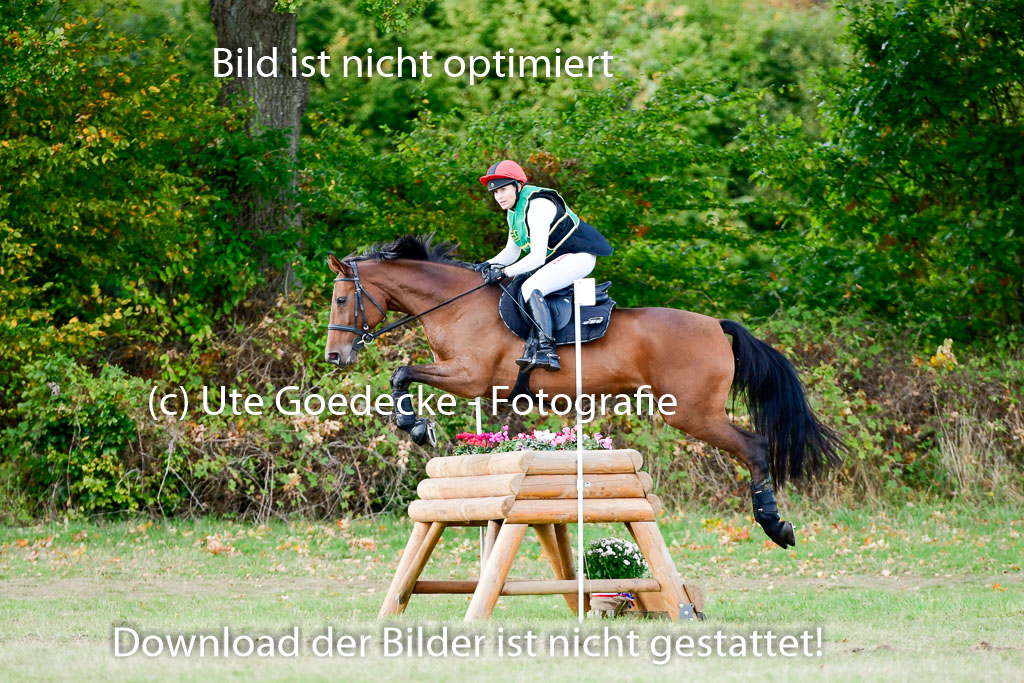 Bad Segeberg 09.10.2022 | 09102022 - XC CCI++ _216