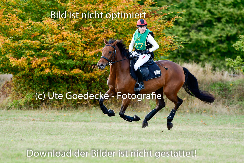 Bad Segeberg 09.10.2022 | 09102022 - XC CCI++ _217