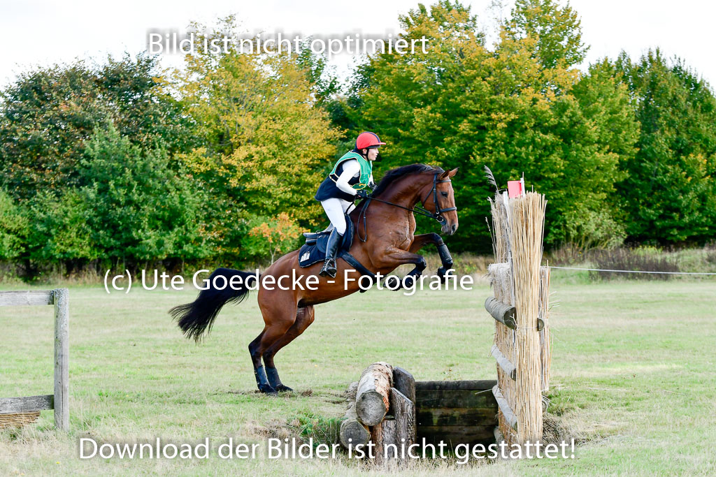 Bad Segeberg 09.10.2022 | 09102022 - XC CCI++ _219