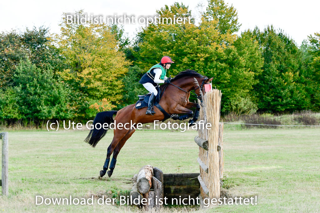 Bad Segeberg 09.10.2022 | 09102022 - XC CCI++ _220