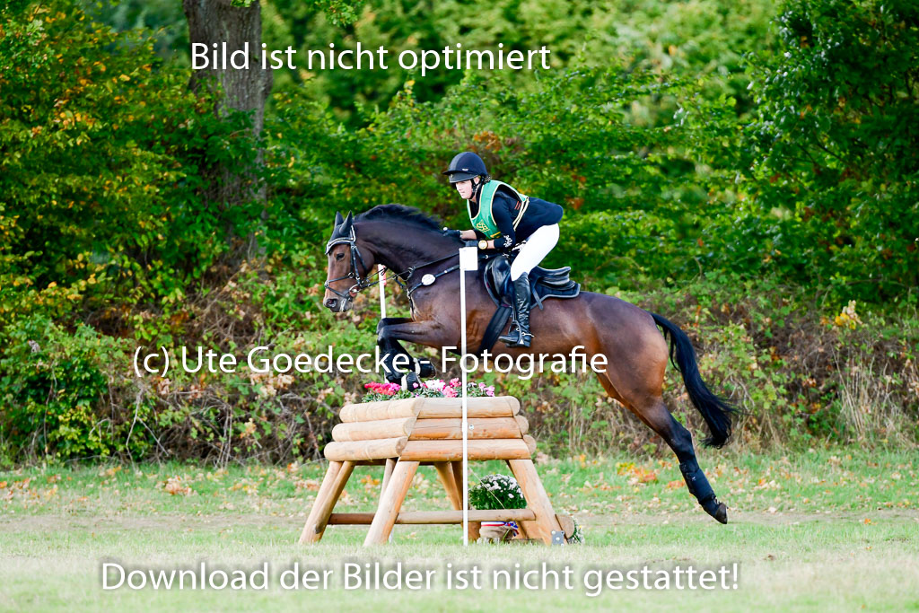 Bad Segeberg 09.10.2022 | 09102022 - XC CCI++ _222