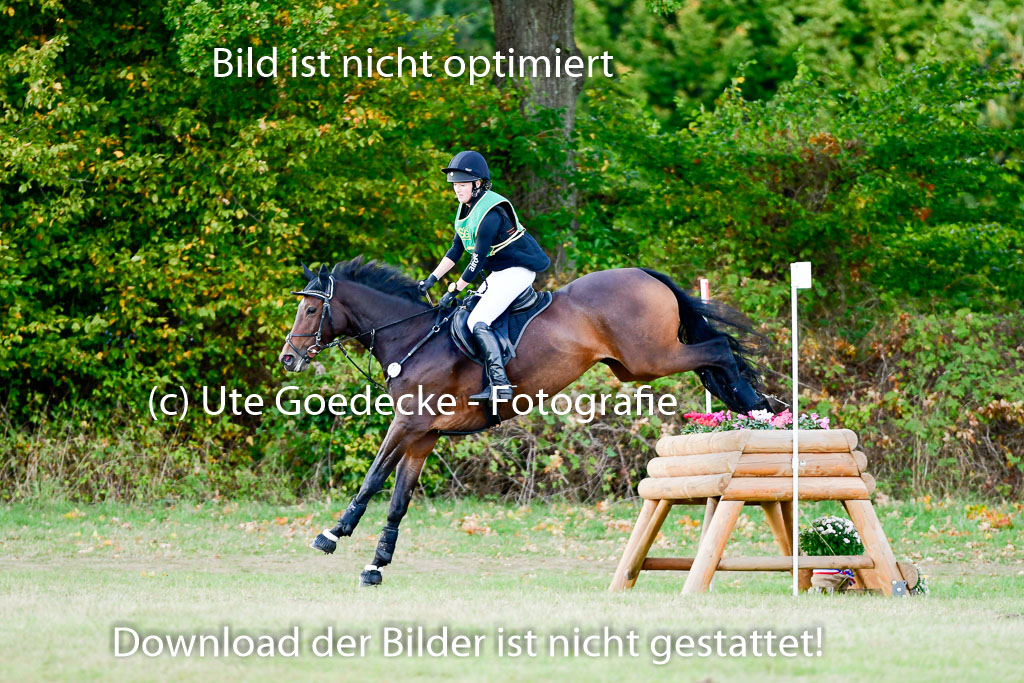 Bad Segeberg 09.10.2022 | 09102022 - XC CCI++ _224