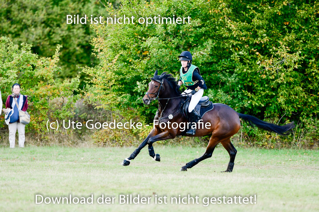 Bad Segeberg 09.10.2022 | 09102022 - XC CCI++ _225