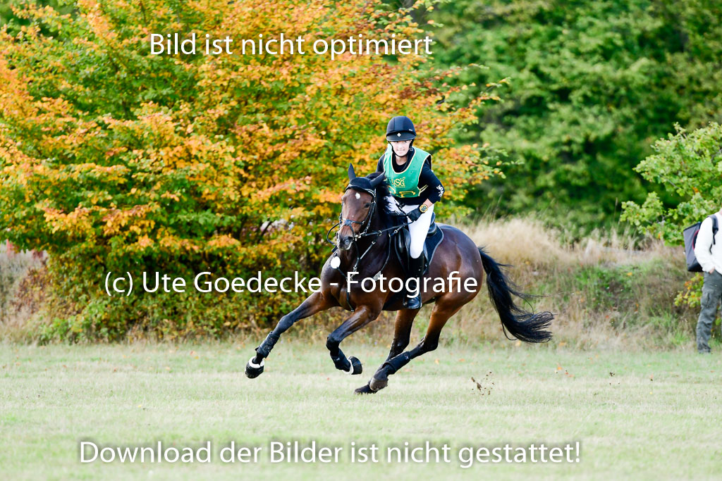 Bad Segeberg 09.10.2022 | 09102022 - XC CCI++ _226