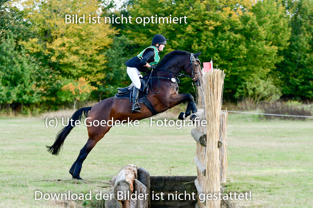 Bad Segeberg 09.10.2022 | 09102022 - XC CCI++ _228