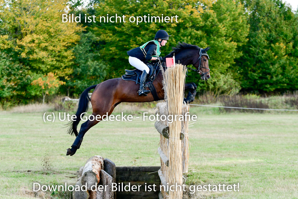 Bad Segeberg 09.10.2022 | 09102022 - XC CCI++ _229