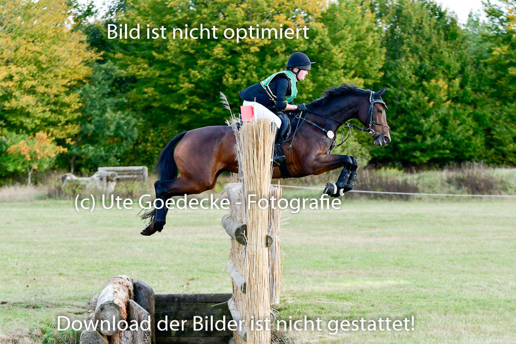 Bad Segeberg 09.10.2022 | 09102022 - XC CCI++ _230