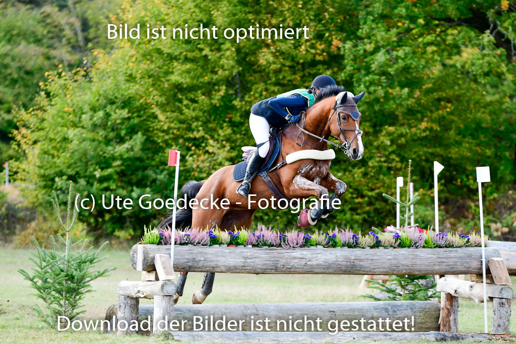 Bad Segeberg 09.10.2022 | 09102022 - XC CCI++ _231