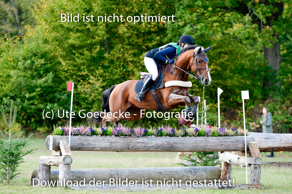 Bad Segeberg 09.10.2022 | 09102022 - XC CCI++ _232